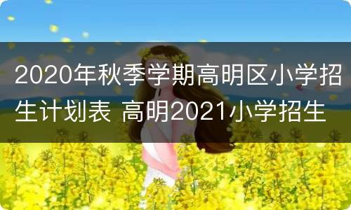 2020年秋季学期高明区小学招生计划表 高明2021小学招生