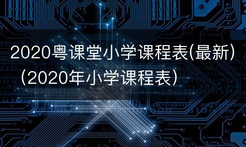 2020粤课堂小学课程表(最新)（2020年小学课程表）