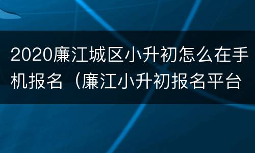 2020廉江城区小升初怎么在手机报名（廉江小升初报名平台）