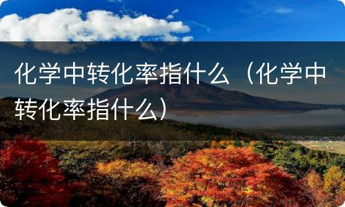 化学中转化率指什么（化学中转化率指什么）