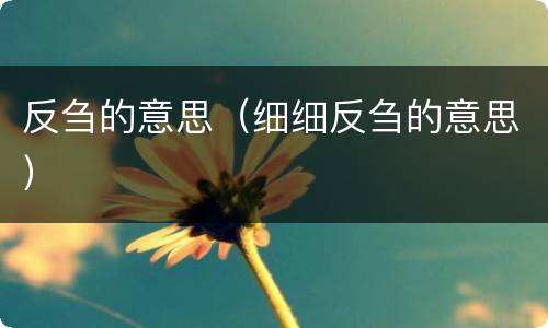 反刍的意思（细细反刍的意思）