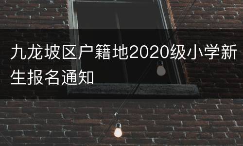 九龙坡区户籍地2020级小学新生报名通知