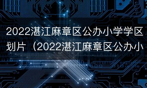 2022湛江麻章区公办小学学区划片（2022湛江麻章区公办小学学区划片图片）