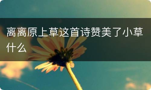 离离原上草这首诗赞美了小草什么