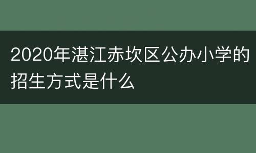 2020年湛江赤坎区公办小学的招生方式是什么