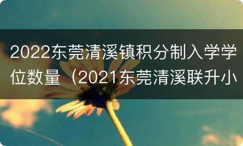 2022东莞清溪镇积分制入学学位数量（2021东莞清溪联升小学招生）
