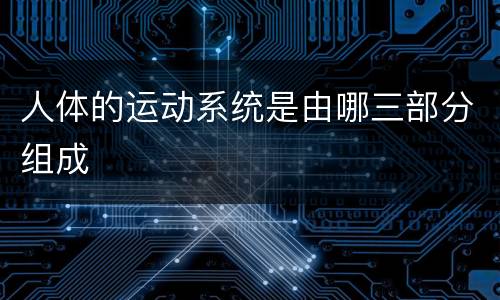 人体的运动系统是由哪三部分组成