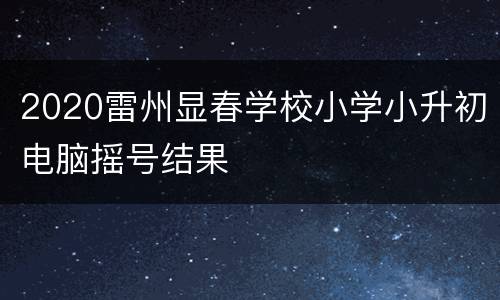 2020雷州显春学校小学小升初电脑摇号结果