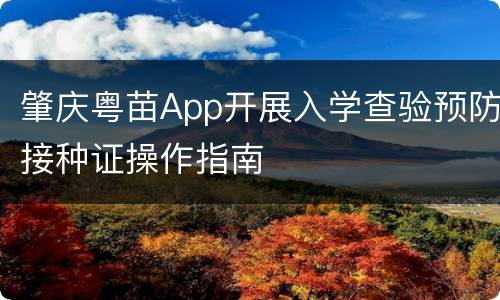 肇庆粤苗App开展入学查验预防接种证操作指南