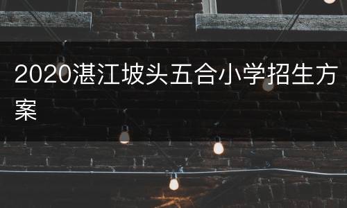 2020湛江坡头五合小学招生方案