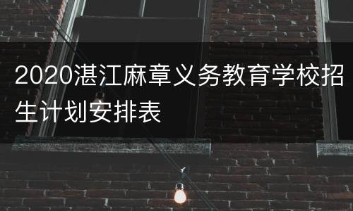 2020湛江麻章义务教育学校招生计划安排表