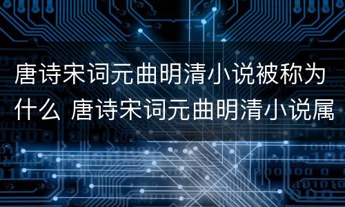 唐诗宋词元曲明清小说被称为什么 唐诗宋词元曲明清小说属于什么