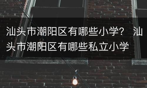 汕头市潮阳区有哪些小学？ 汕头市潮阳区有哪些私立小学