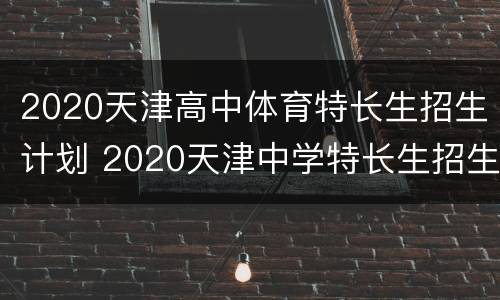 2020天津高中体育特长生招生计划 2020天津中学特长生招生