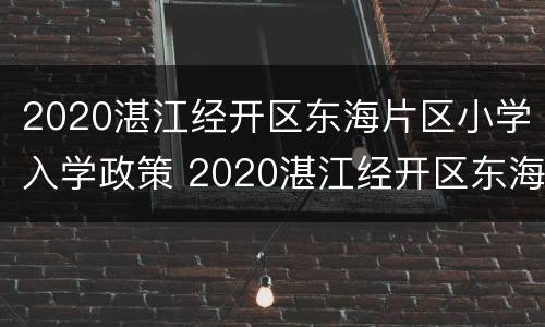 2020湛江经开区东海片区小学入学政策 2020湛江经开区东海片区小学入学政策