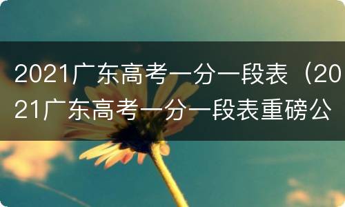 2021广东高考一分一段表（2021广东高考一分一段表重磅公布）