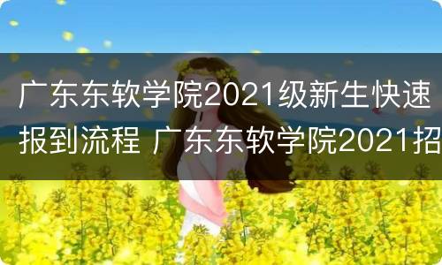 广东东软学院2021级新生快速报到流程 广东东软学院2021招生简章