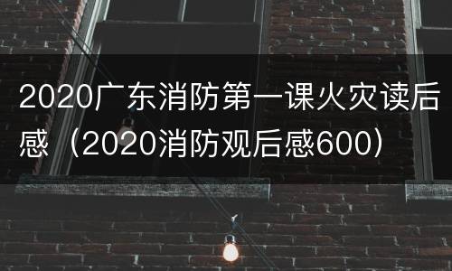 2020广东消防第一课火灾读后感（2020消防观后感600）