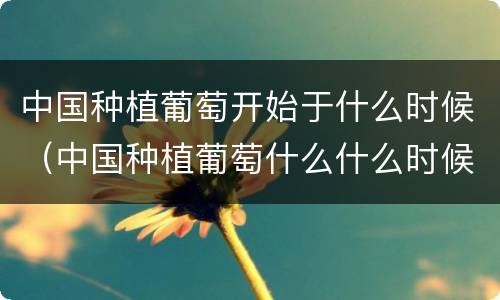 中国种植葡萄开始于什么时候（中国种植葡萄什么什么时候开始）