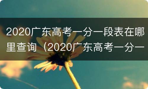 2020广东高考一分一段表在哪里查询（2020广东高考一分一段表在哪里查询呢）