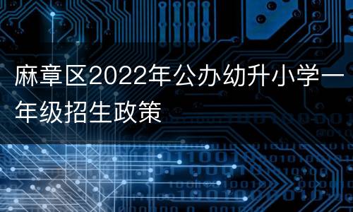 麻章区2022年公办幼升小学一年级招生政策