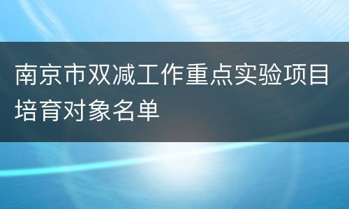 南京市双减工作重点实验项目培育对象名单