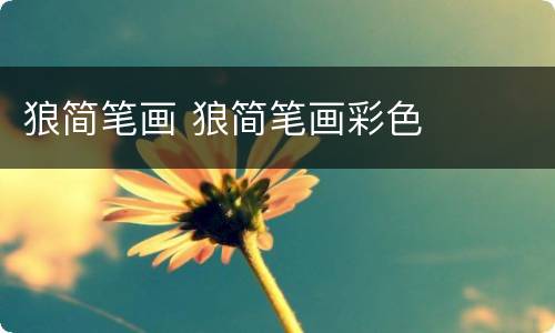 狼简笔画 狼简笔画彩色