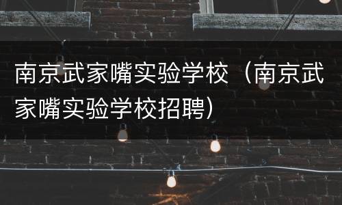 南京武家嘴实验学校（南京武家嘴实验学校招聘）