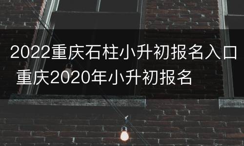 2022重庆石柱小升初报名入口 重庆2020年小升初报名