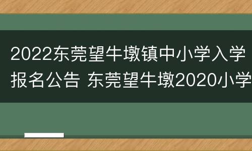 2022东莞望牛墩镇中小学入学报名公告 东莞望牛墩2020小学招生学位