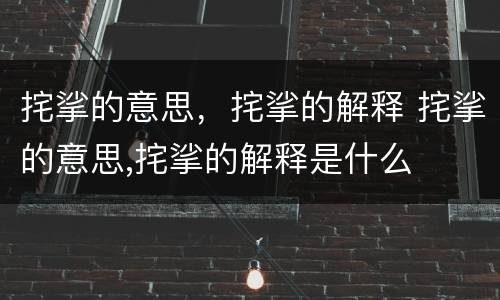 挓挲的意思，挓挲的解释 挓挲的意思,挓挲的解释是什么
