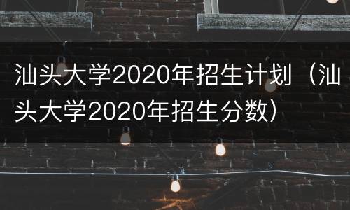 汕头大学2020年招生计划（汕头大学2020年招生分数）