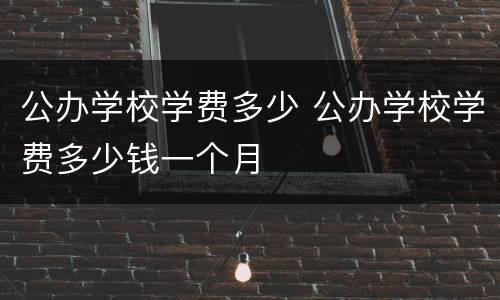 公办学校学费多少 公办学校学费多少钱一个月