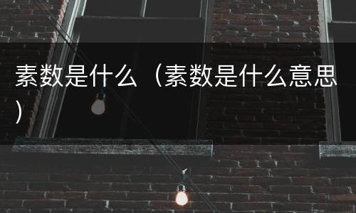 素数是什么（素数是什么意思）