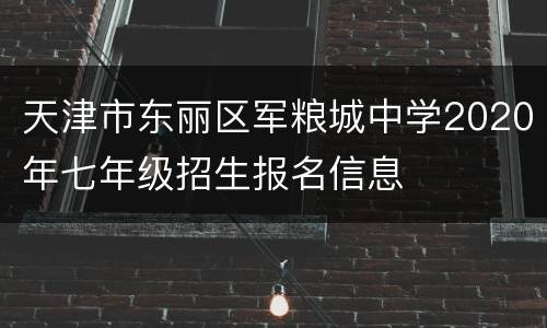 天津市东丽区军粮城中学2020年七年级招生报名信息
