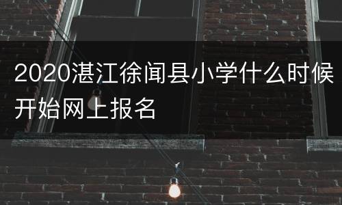 2020湛江徐闻县小学什么时候开始网上报名