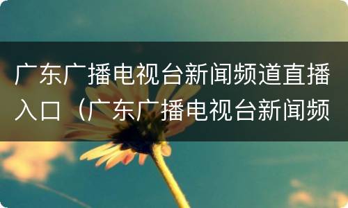 广东广播电视台新闻频道直播入口（广东广播电视台新闻频道直播入口在哪）