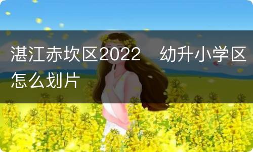 湛江赤坎区2022​幼升小学区怎么划片