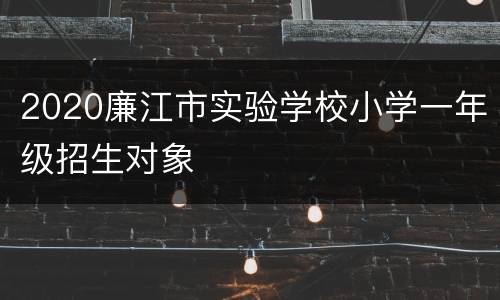 2020廉江市实验学校小学一年级招生对象