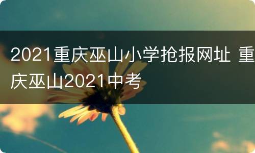 2021重庆巫山小学抢报网址 重庆巫山2021中考