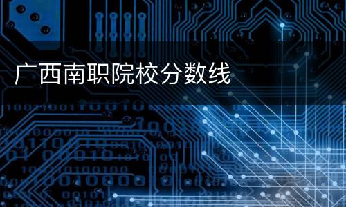 广西南职院校分数线