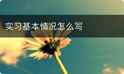 实习基本情况怎么写