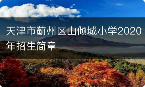 天津市蓟州区山倾城小学2020年招生简章