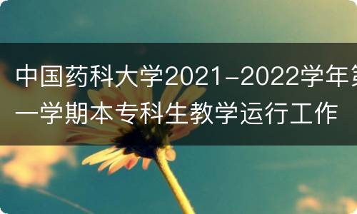 中国药科大学2021-2022学年第一学期本专科生教学运行工作安排
