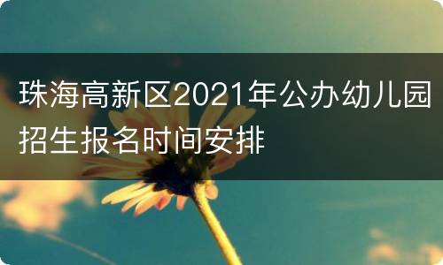 珠海高新区2021年公办幼儿园招生报名时间安排