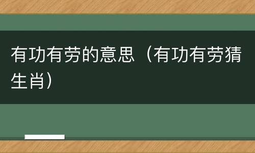 有功有劳的意思（有功有劳猜生肖）