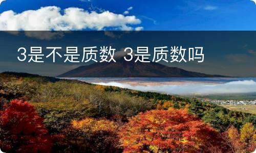  3是不是质数 3是质数吗