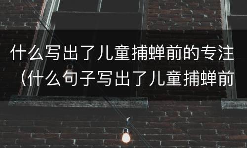 什么写出了儿童捕蝉前的专注（什么句子写出了儿童捕蝉前的专注）