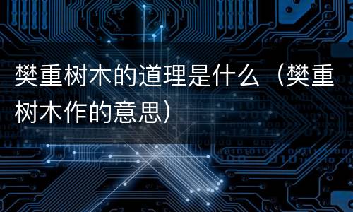 樊重树木的道理是什么（樊重树木作的意思）