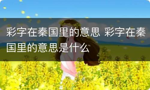 彩字在秦国里的意思 彩字在秦国里的意思是什么